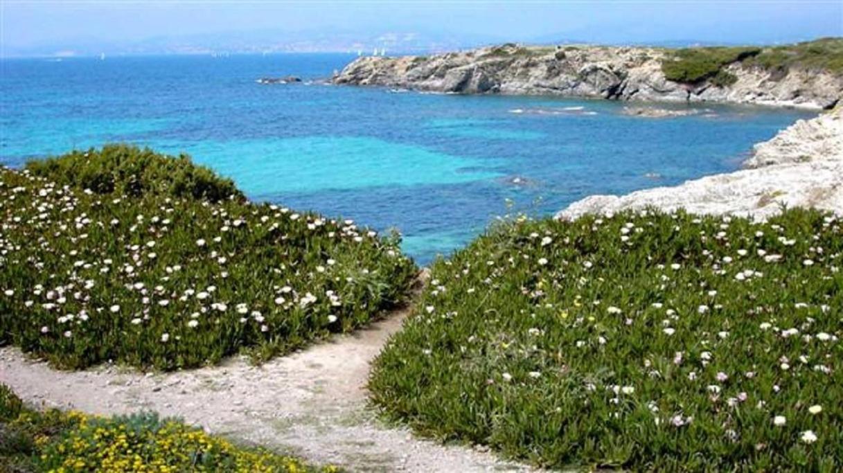 Villa Spacieuse, Climatisation, Piscine, Jardin Paysage, Proche Mer Saint-Cyr-sur-Mer Zewnętrze zdjęcie